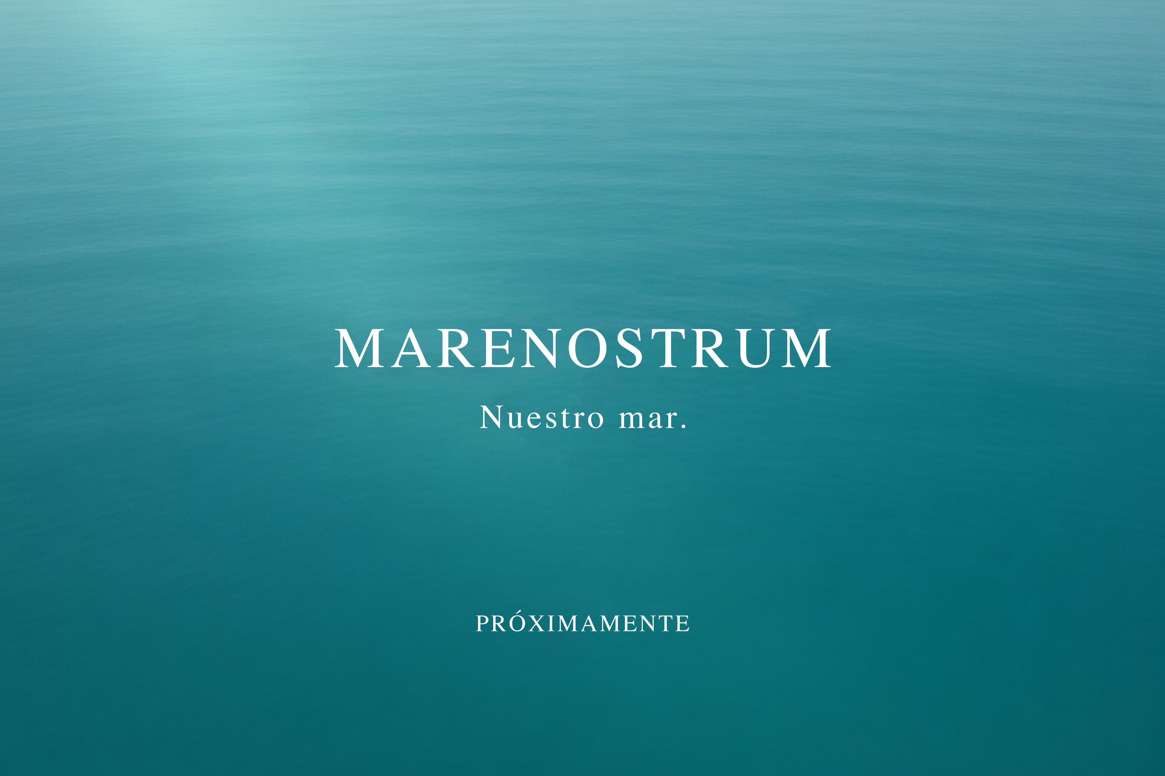 Levantino_costera_MARENOSTRUM_watch_quarz_proximo lanzamiento